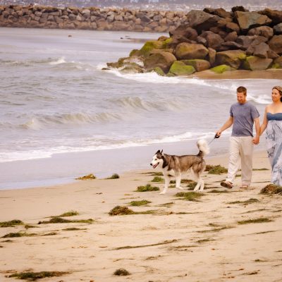 A man and woman walking a Siberian Husky dog along a sandy beach near the water.