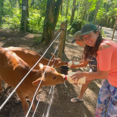 A person feeding two calves with milk bottles in a forested area.